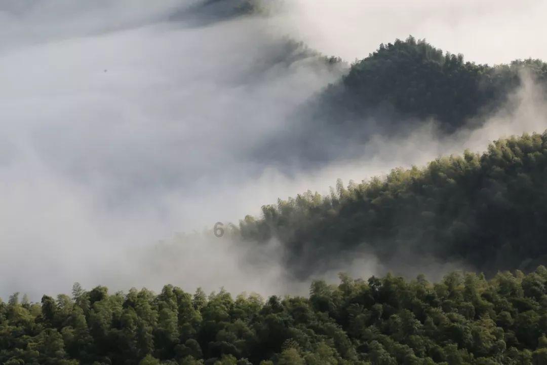 小猫钓鱼开船版最新版下载