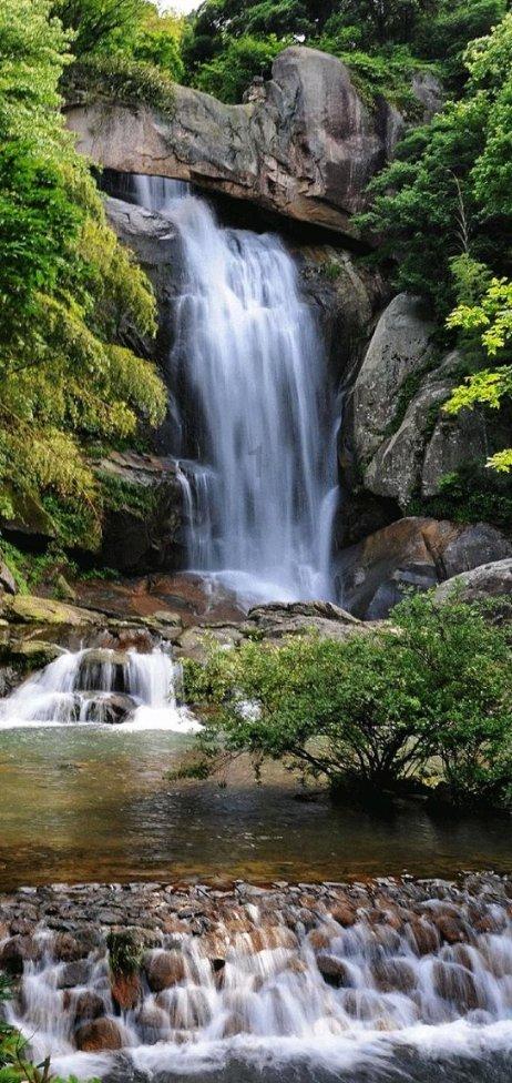 沪江开心词场