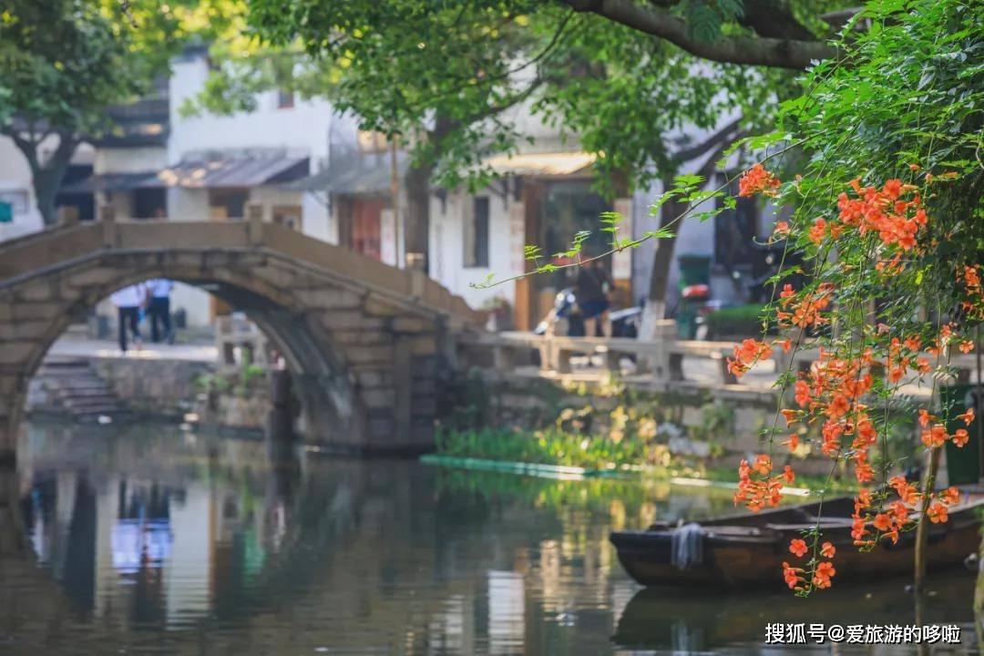小猫钓鱼正版下载中文版