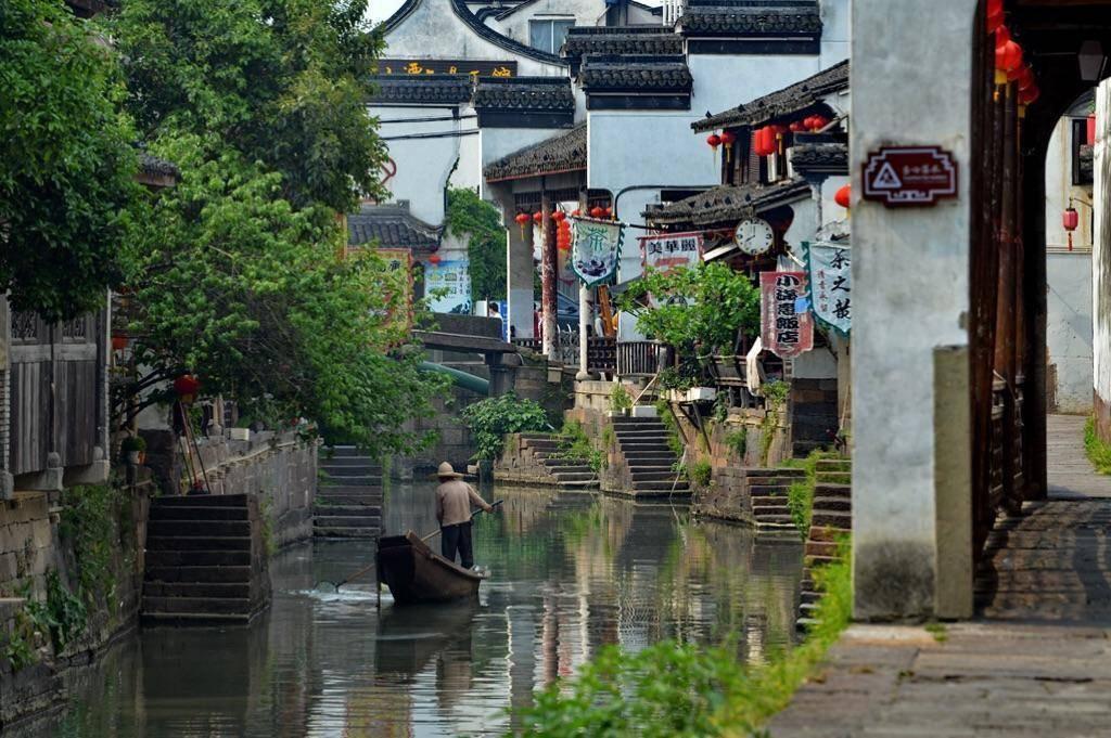 动物帮帮忙保卫家园