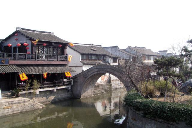 动物帮帮忙保卫家园